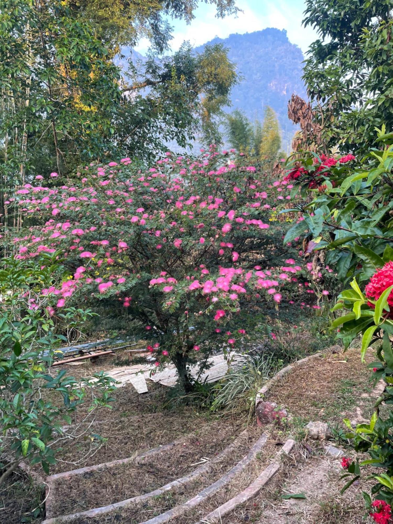 清佬围屋住宿加早餐旅馆 外观 照片