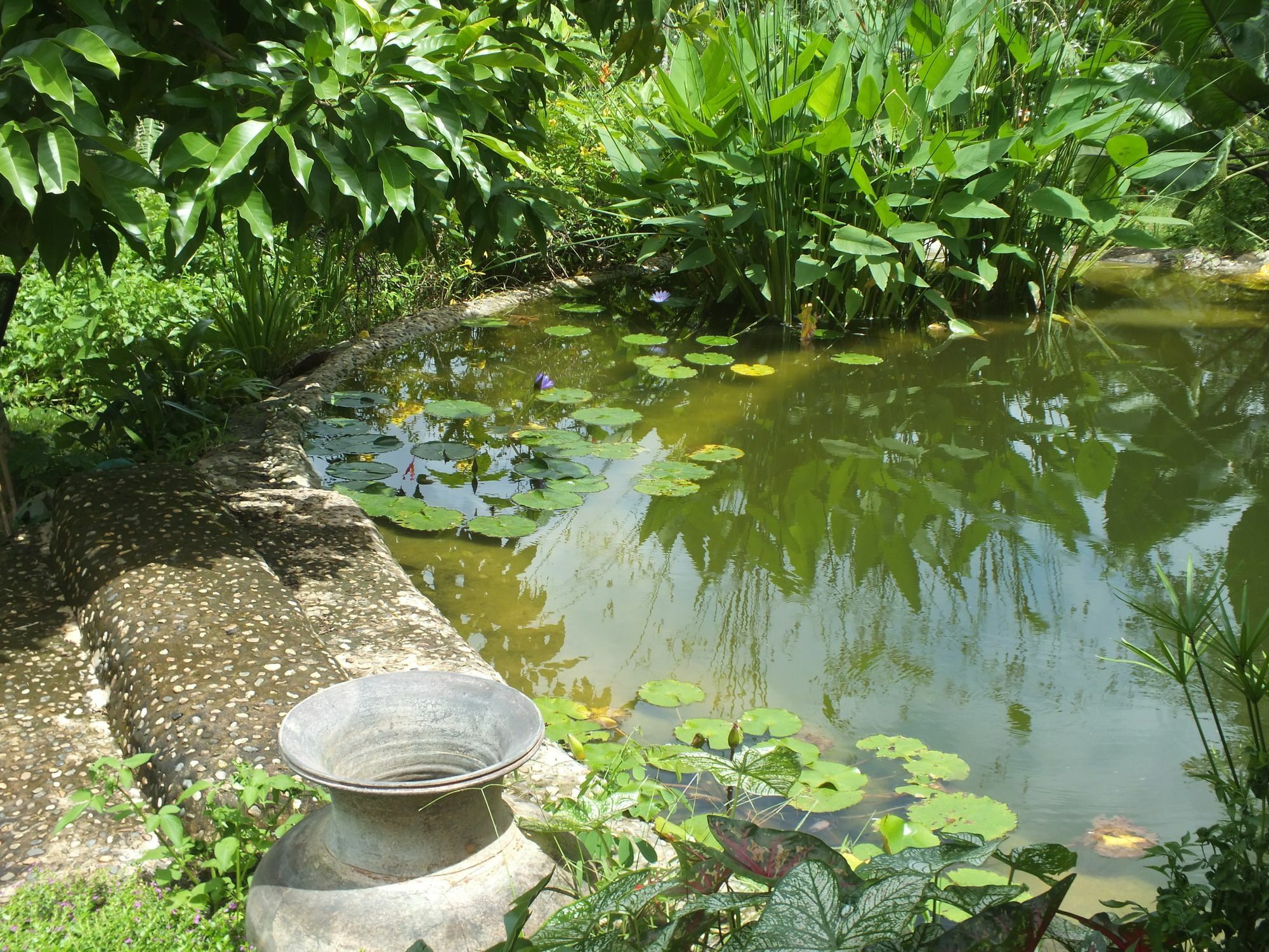 清佬围屋住宿加早餐旅馆 外观 照片